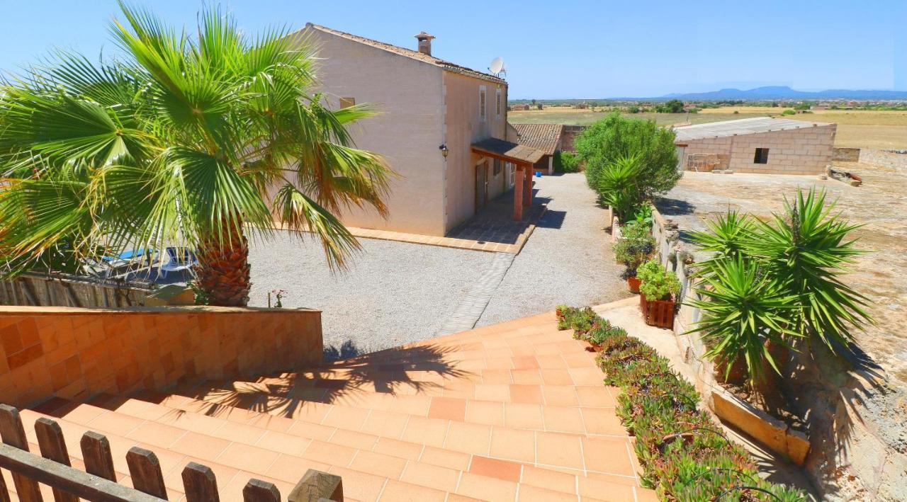 Alcoraia Villa Campos  Exterior photo