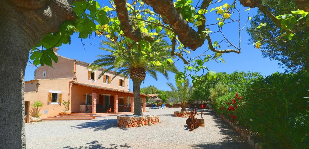 Alcoraia Villa Campos  Exterior photo